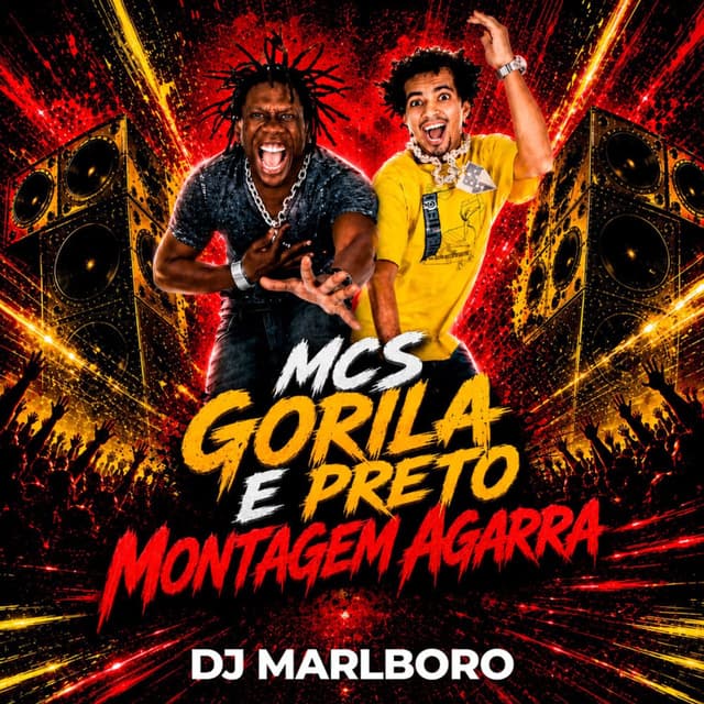 Montagem Agarra