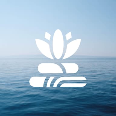 Calming Rise of Meditation