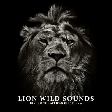 Lion Wild Sounds: King of the African Jungle 2019 - Relaxation Music for Children & Amazing Fantasy Songs