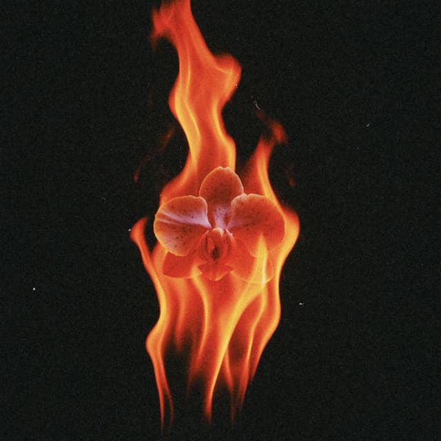 LEVITAR