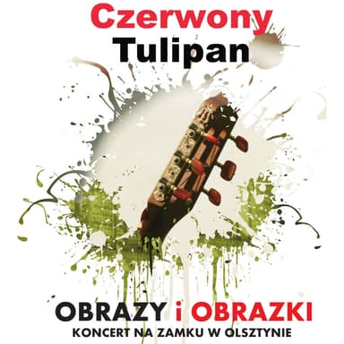 Obrazy i obrazki (Koncert na zamku w Olsztynie)
