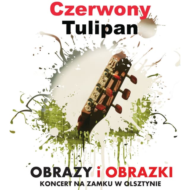 Obrazy i obrazki (Koncert na zamku w Olsztynie)