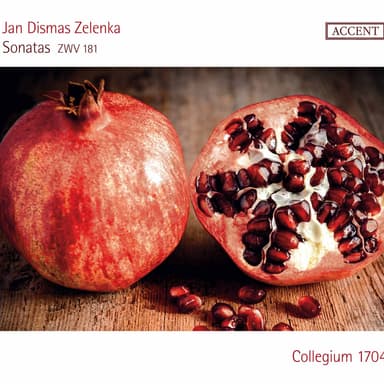 Zelenka: 6 Sonatas, ZWV 181