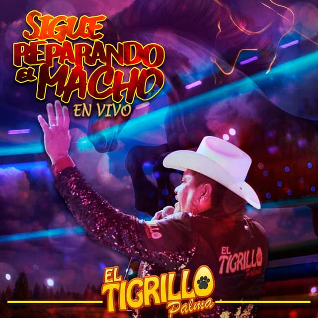 Sigue Reparando El Macho (En Vivo)
