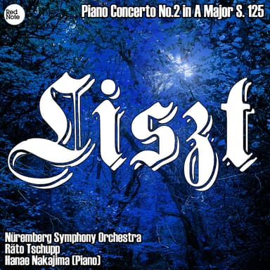 Piano Concerto No.2 in A Major, S. 125: Adagio - Allegro agitato - Allegro moderato - Allegro deciso - Allegro animato