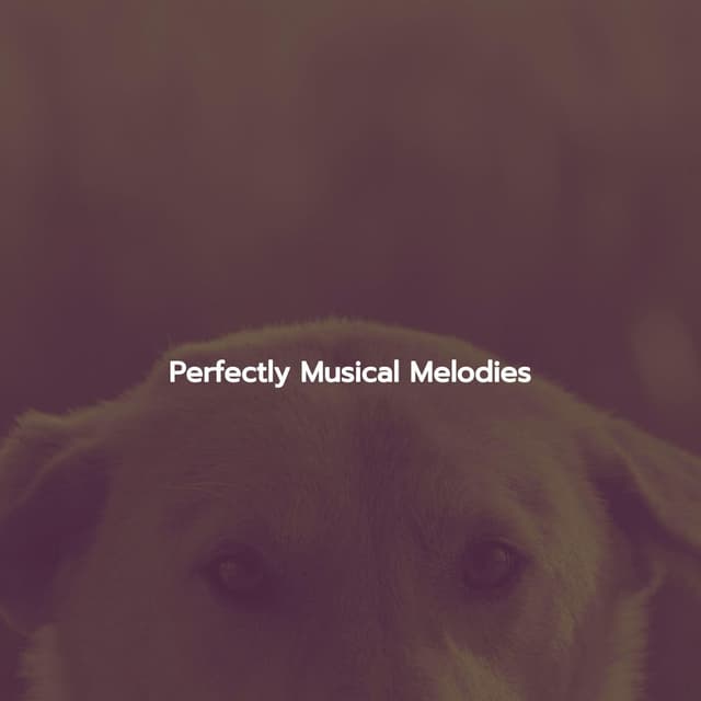 Perfectly Musical Melodies