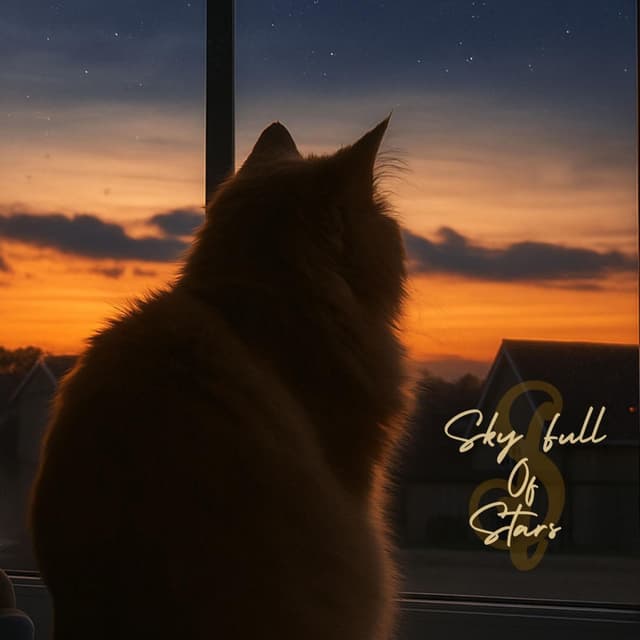 Sky Full Of Stars