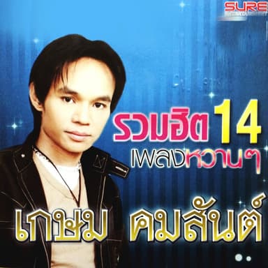 รวมฮิต 14 เพลงหวานๆ