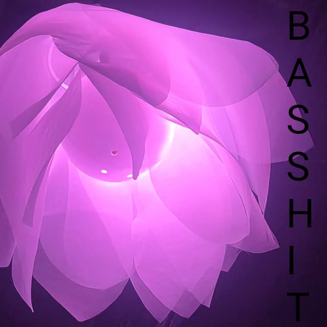 B A S S H I T