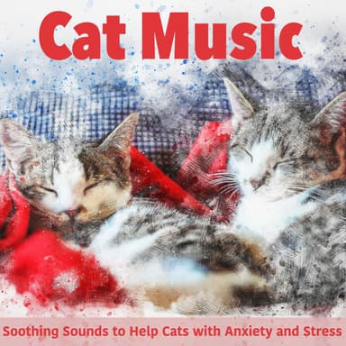 The Best Relaxing Cat Music