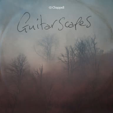 Guitarscapes