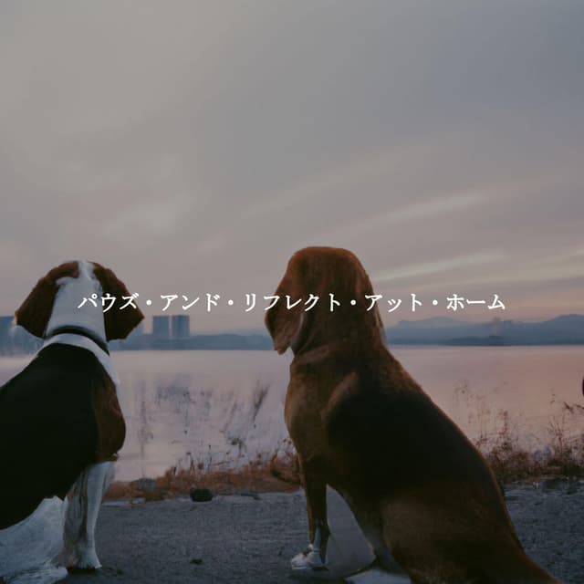 パウズ・アンド・リフレクト・アット・ホーム