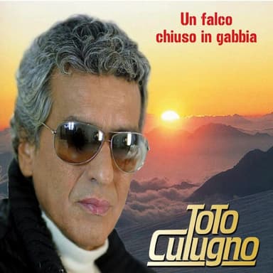 Un falco chiuso in gabbia