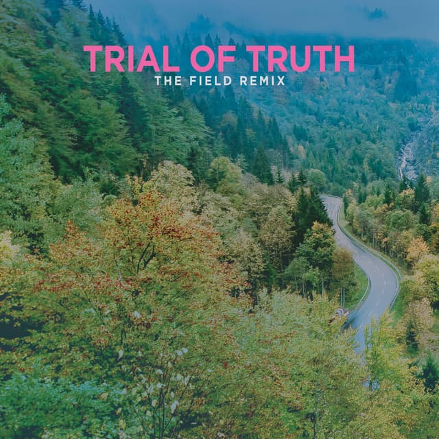 Trial of Truth (The Field Remix)