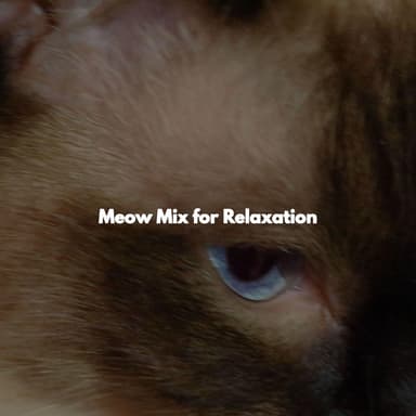 Meow Mix for Relaxation
