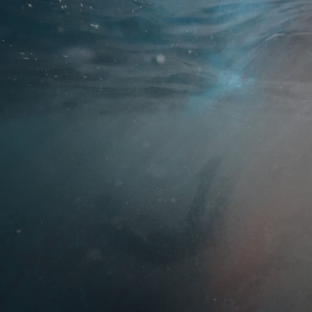 Chasing Waves