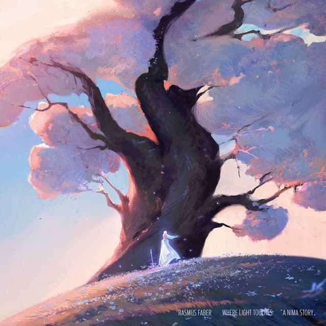 Where Light Touches 「A NIMA Story」