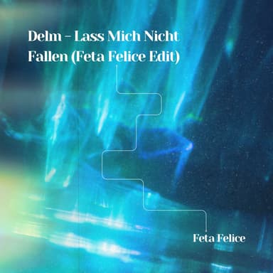 Lass Mich Nicht Fallen (Feta Felice Edit) (feat. Delm) (Remix)