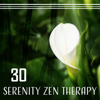 Serenity Zen Treatment