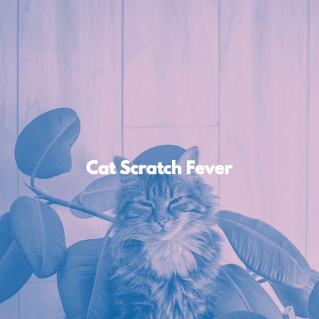 Cat Scratch Fever