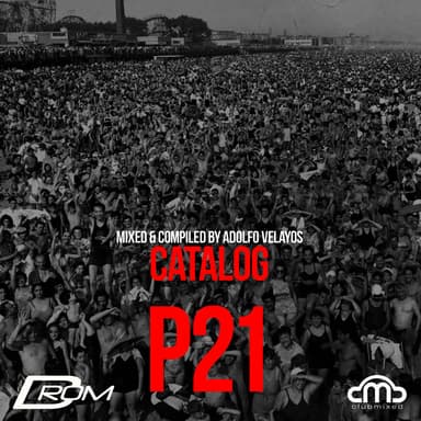 P21 Catalog
