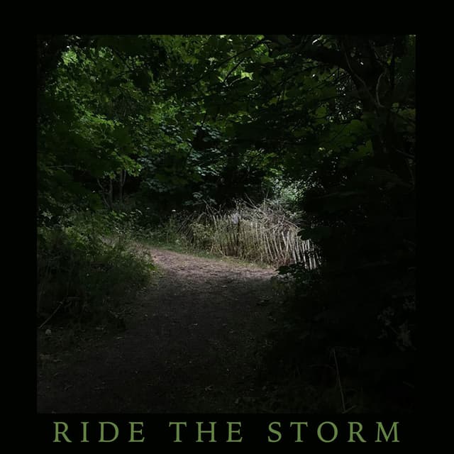 Ride the Storm