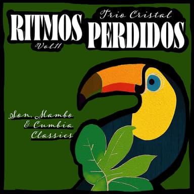 Ritmos Perdidos, Vol. 11 - Son, Mambo & Cumbia Classics