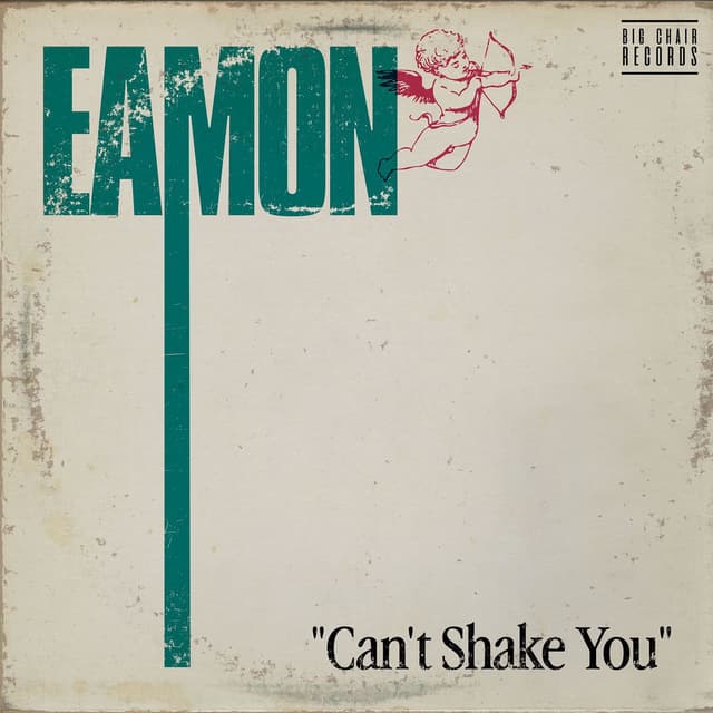 Can't Shake You