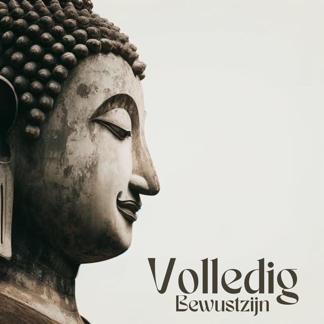 Volledig Bewustzijn: Boeddhistische Meditatiesessie