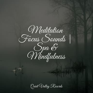 Meditation Focus Sounds | Spa & Mindfulness