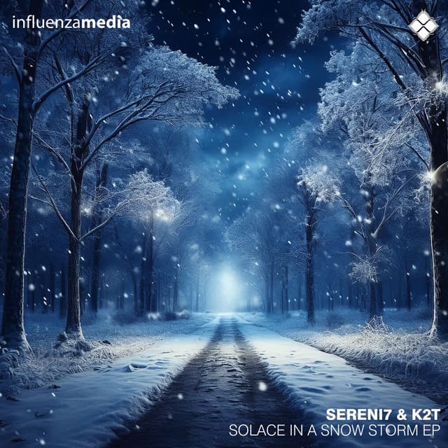 Solace In a Snow Storm EP