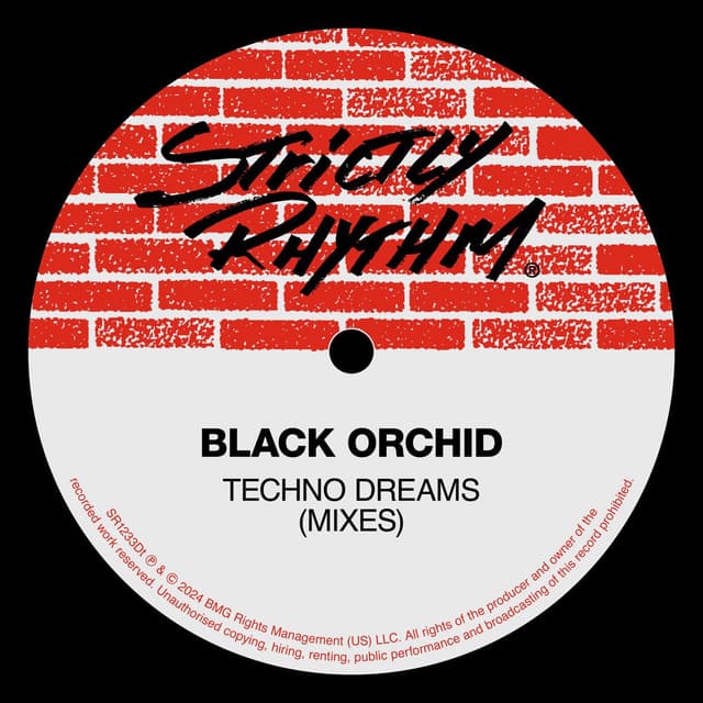 Techno Dreams (Mixes)