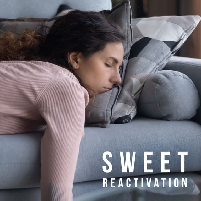 Sweet Reactivation. Nap After a Hard Day at Work. Soft Sleepy Atmosphere