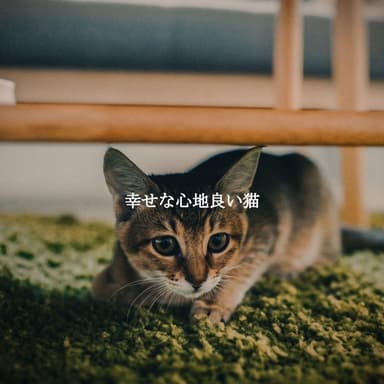 幸せな心地良い猫