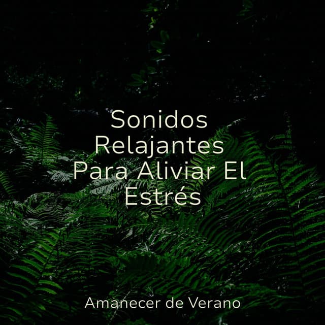 Sonidos Relajantes Para Aliviar El Estrés