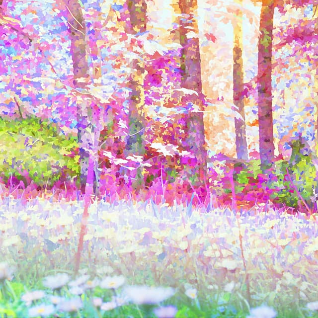 AetheR Forest