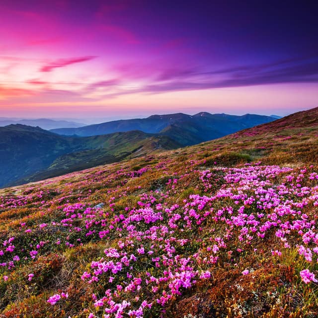 Tranquil Ambient Music With Ocean Breeze Sounds For Stress Relief And Deep Rest