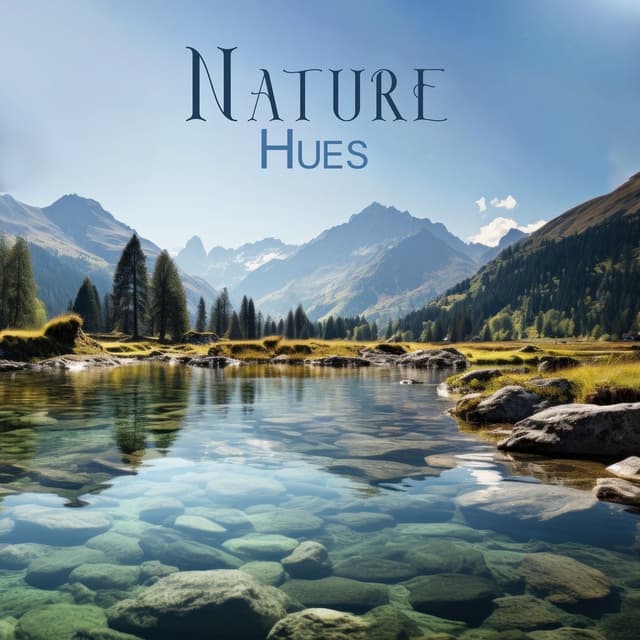 Nature Hues: Soundscapes from Zen Garden, Forest, Ocean, Rain Weather for Meditation