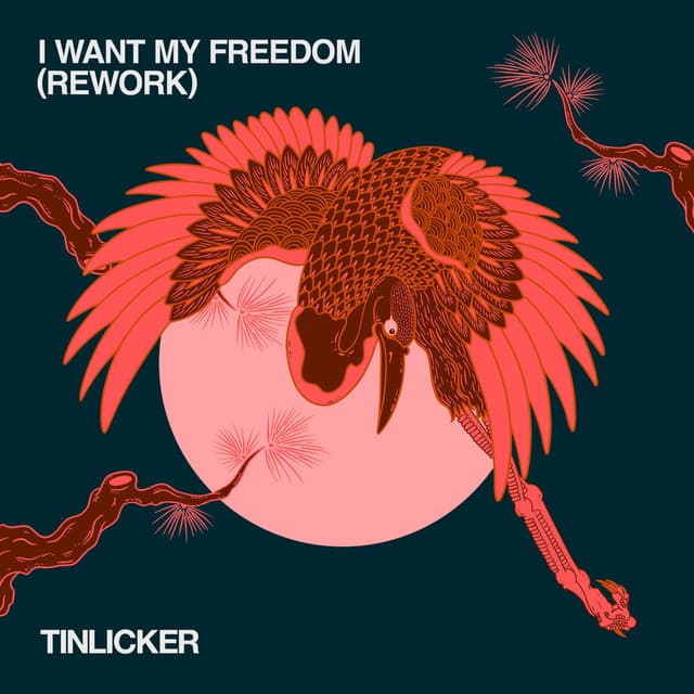 I Want My Freedom (Rework)