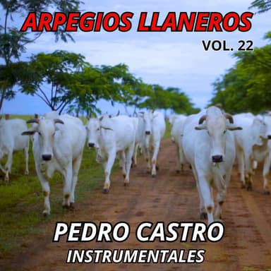 Arpegios Llaneros, Vol. 22