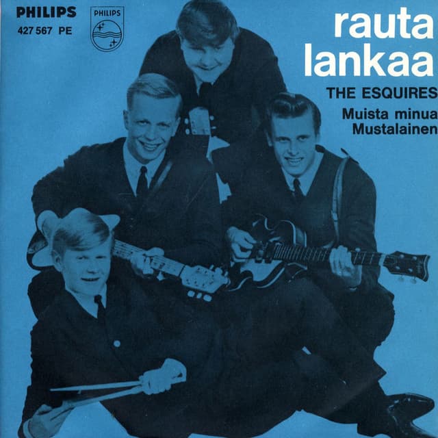 Rautalankaa
