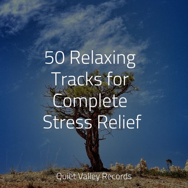50 Relaxing Tracks for Complete Stress Relief