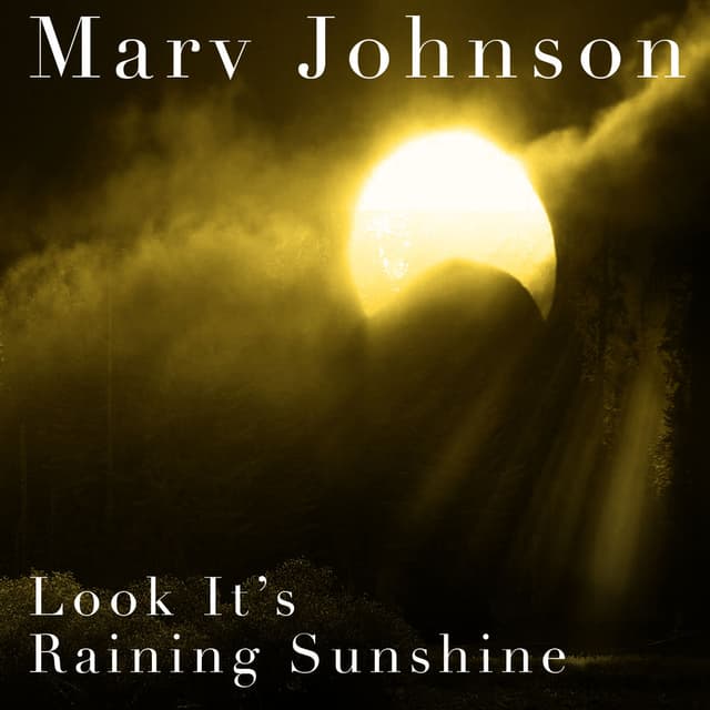 Look It's Raining Sunshine