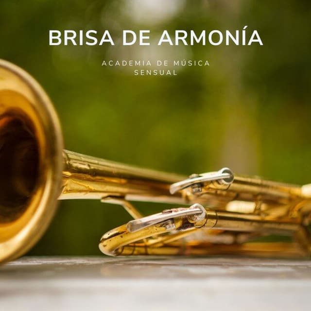 Brisa de Armonía: Jazz Relajante