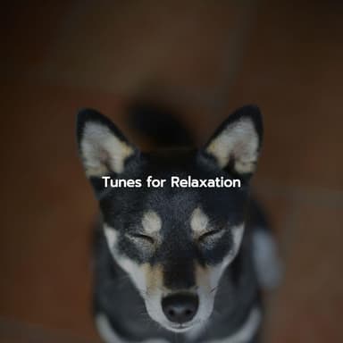 Tunes for Relaxation