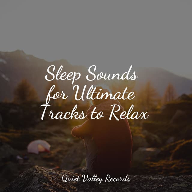 Sleep Sounds for Ultimate Tracks to Relax