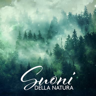 Suoni Della Natura: La Migliore Musica Per Rilassarsi E Dormire | Canto Di Uccelli, Rumore Di Un Ruscello, Avventura Dentro Il Bos