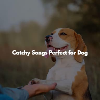Catchy Songs Perfect for Dog