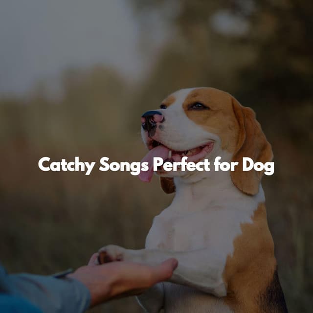 Catchy Songs Perfect for Dog