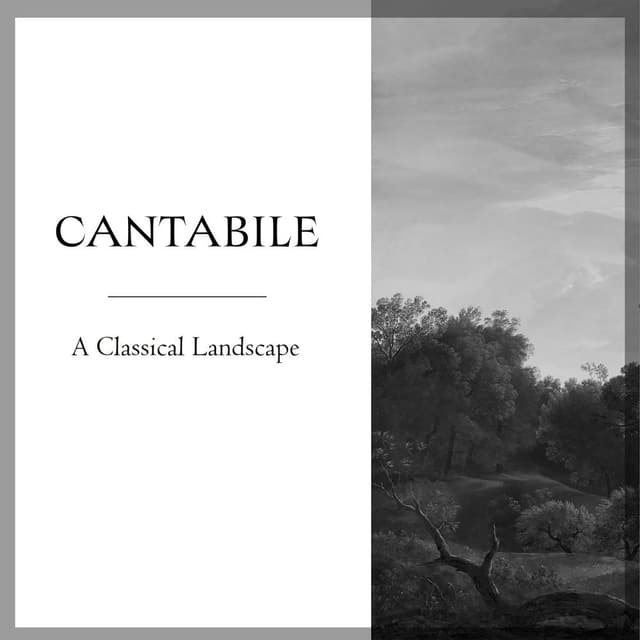 "Cantabile": A Classical Landscape